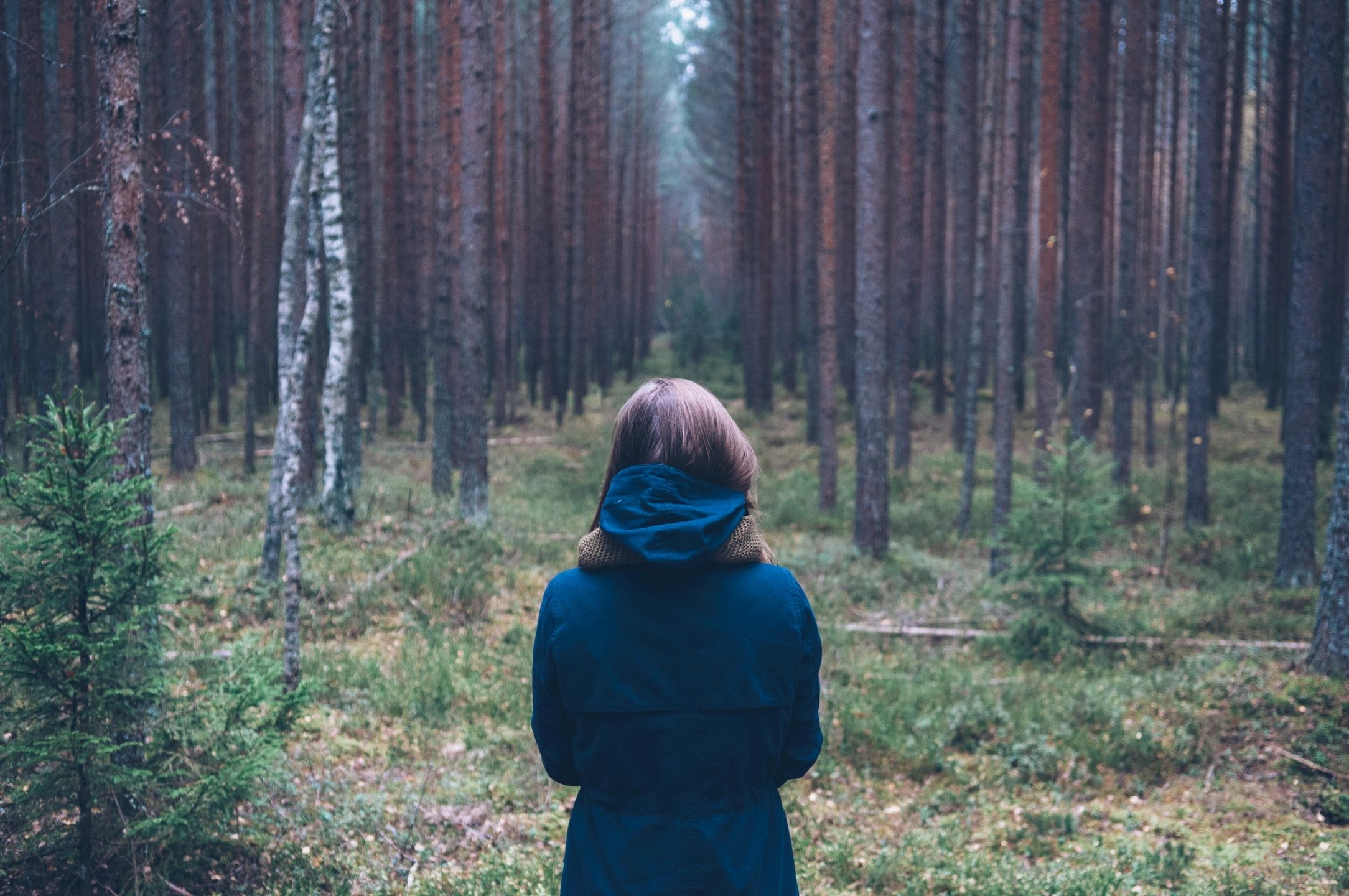 A child in a green coat enters a forest
