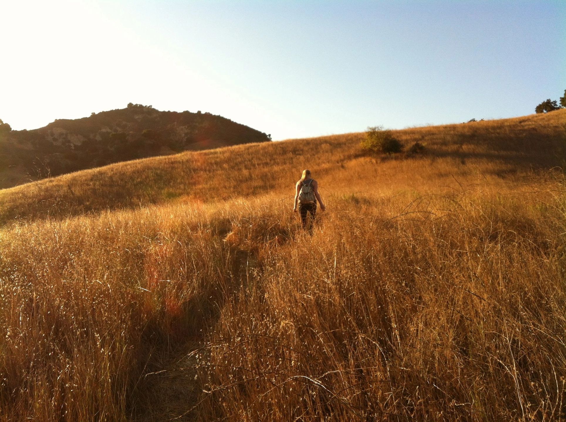 A person walks through a field of grass towards a small hill