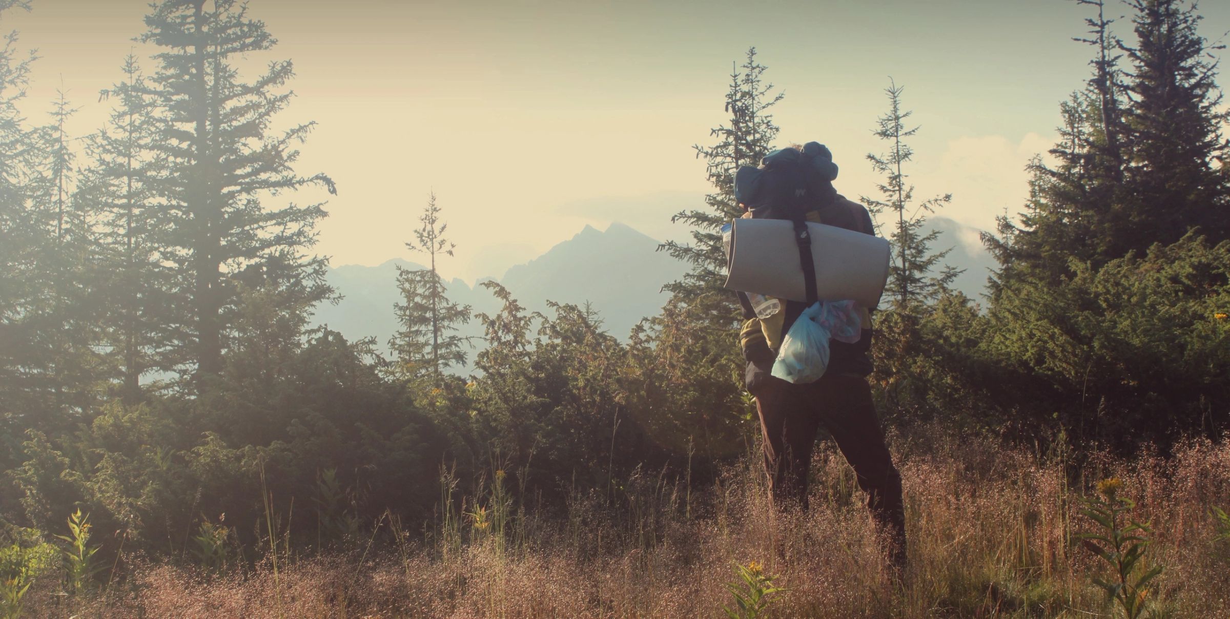 Man Hikes in a forest